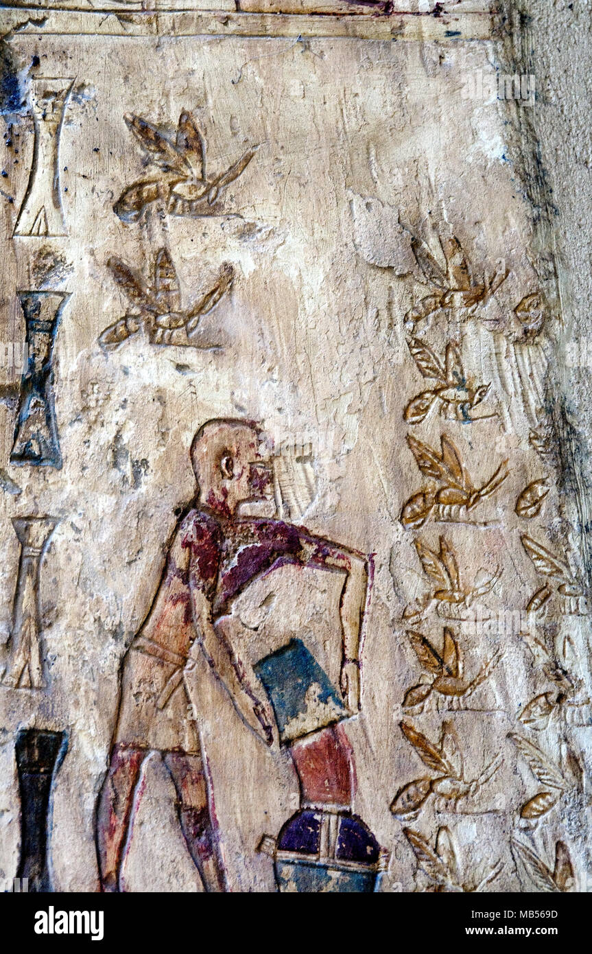 Luxor, l'Egitto, la tomba di Pabasa (TT279) a el-Asasif, necropoli di  nobili tombe: raccolta del miele Foto stock - Alamy