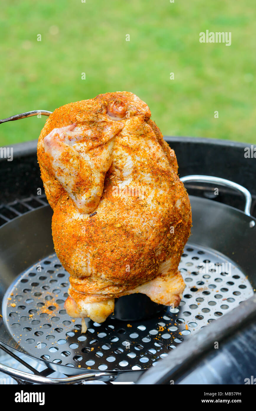 Una lattina di birra pollo in un barbecue pronto per il grill, con paprica  e strofinare la sonda di temperatura Foto stock - Alamy