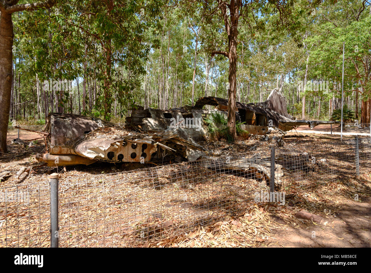 I resti di un DC-3 relitto aereo nella boccola nei pressi di Bamaga, Queensland, Australia Foto Stock
