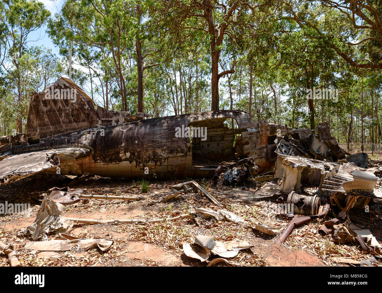 I resti di un DC-3 relitto aereo nella boccola nei pressi di Bamaga, Queensland, Australia Foto Stock