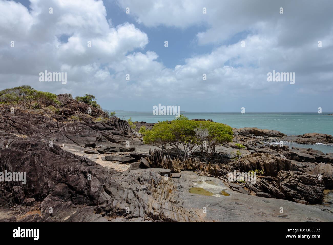 Alcuni alberi sulle rocce al punto più settentrionale del continente australiano a Cape York Foto Stock