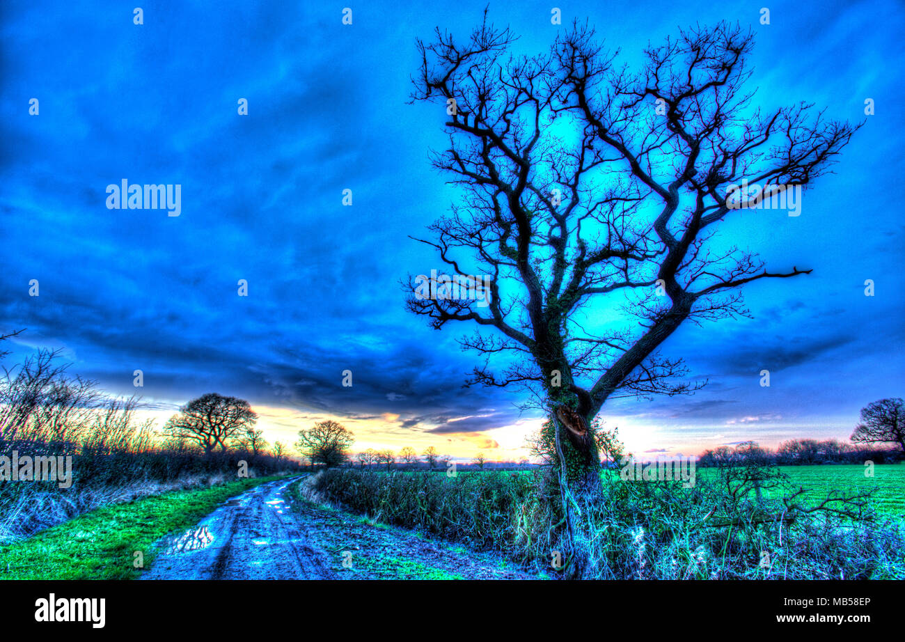 Villaggio di Coddington, Inghilterra. Artistico vista del tramonto su un bridleway nelle zone rurali del Cheshire. Foto Stock