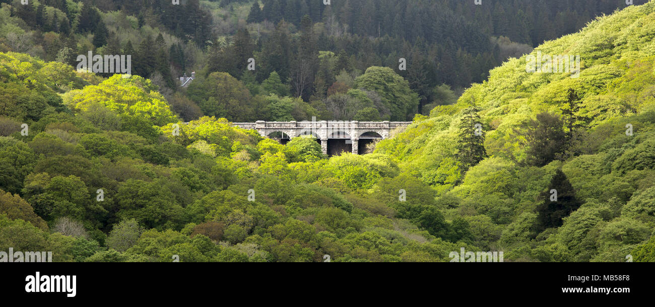 Serbatoio Burrator immerso tra boschi nella primavera del Parco Nazionale di Dartmoor Devon UK Foto Stock