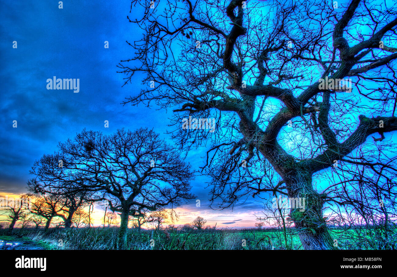Villaggio di Coddington, Inghilterra. Artistico vista del tramonto su un bridleway nelle zone rurali del Cheshire. Foto Stock