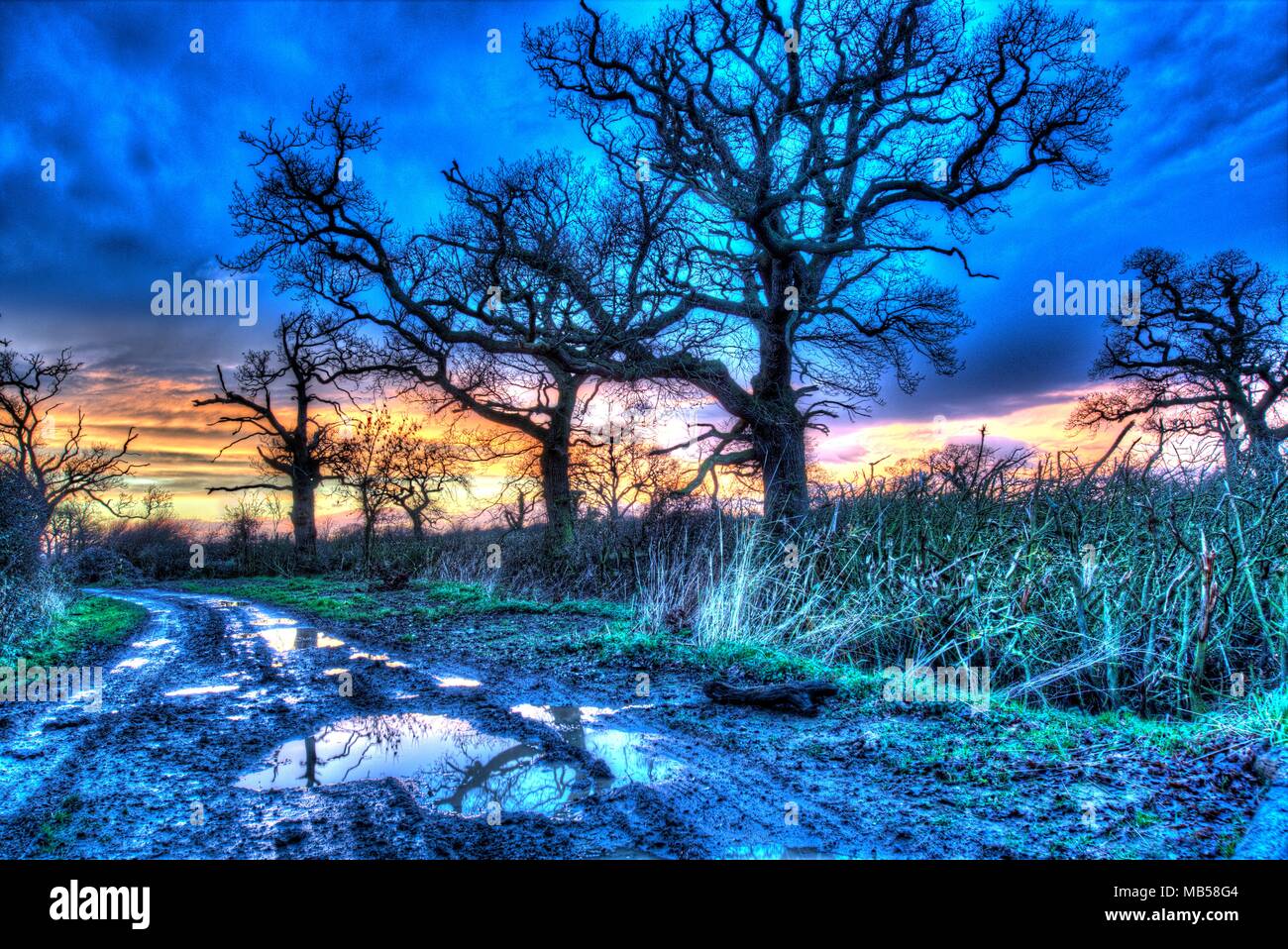 Villaggio di Coddington, Inghilterra. Artistico vista del tramonto su un bridleway nelle zone rurali del Cheshire. Foto Stock