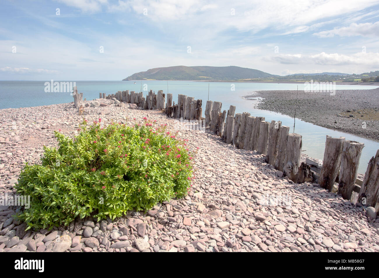 La spiaggia di Porlock weir in estate Parco Nazionale di Exmoor Somerset REGNO UNITO Foto Stock