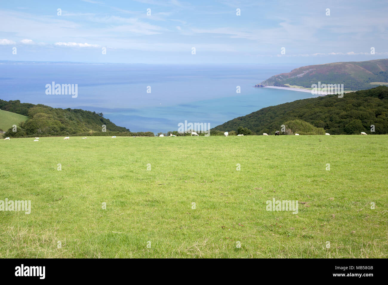 Vista sulla baia di Bossington in estate Exmoor Somerset Foto Stock
