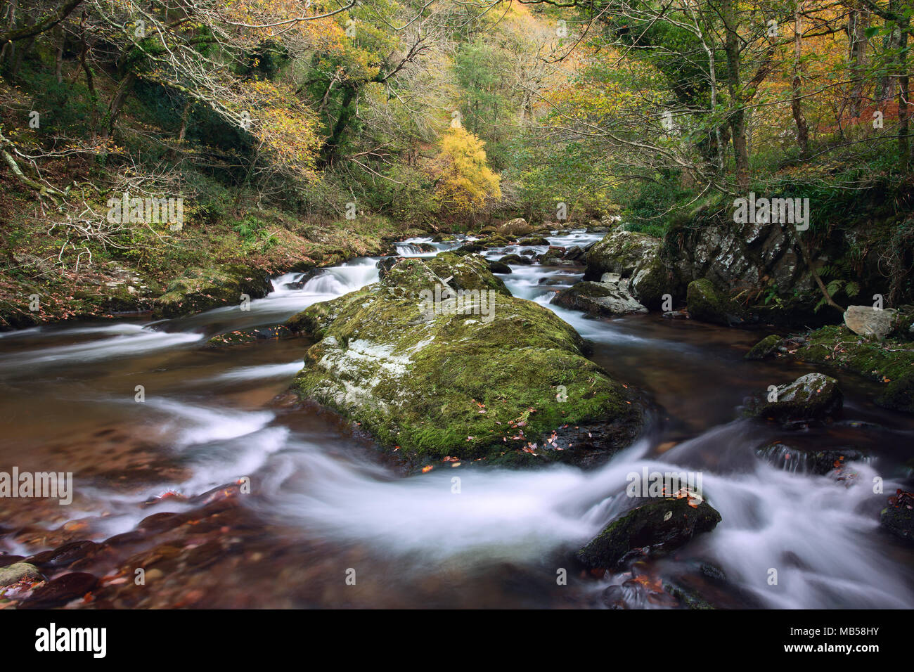 East lynn river vicino Watersmeet nell'autunno del Parco Nazionale di Exmoor Somerset REGNO UNITO Foto Stock