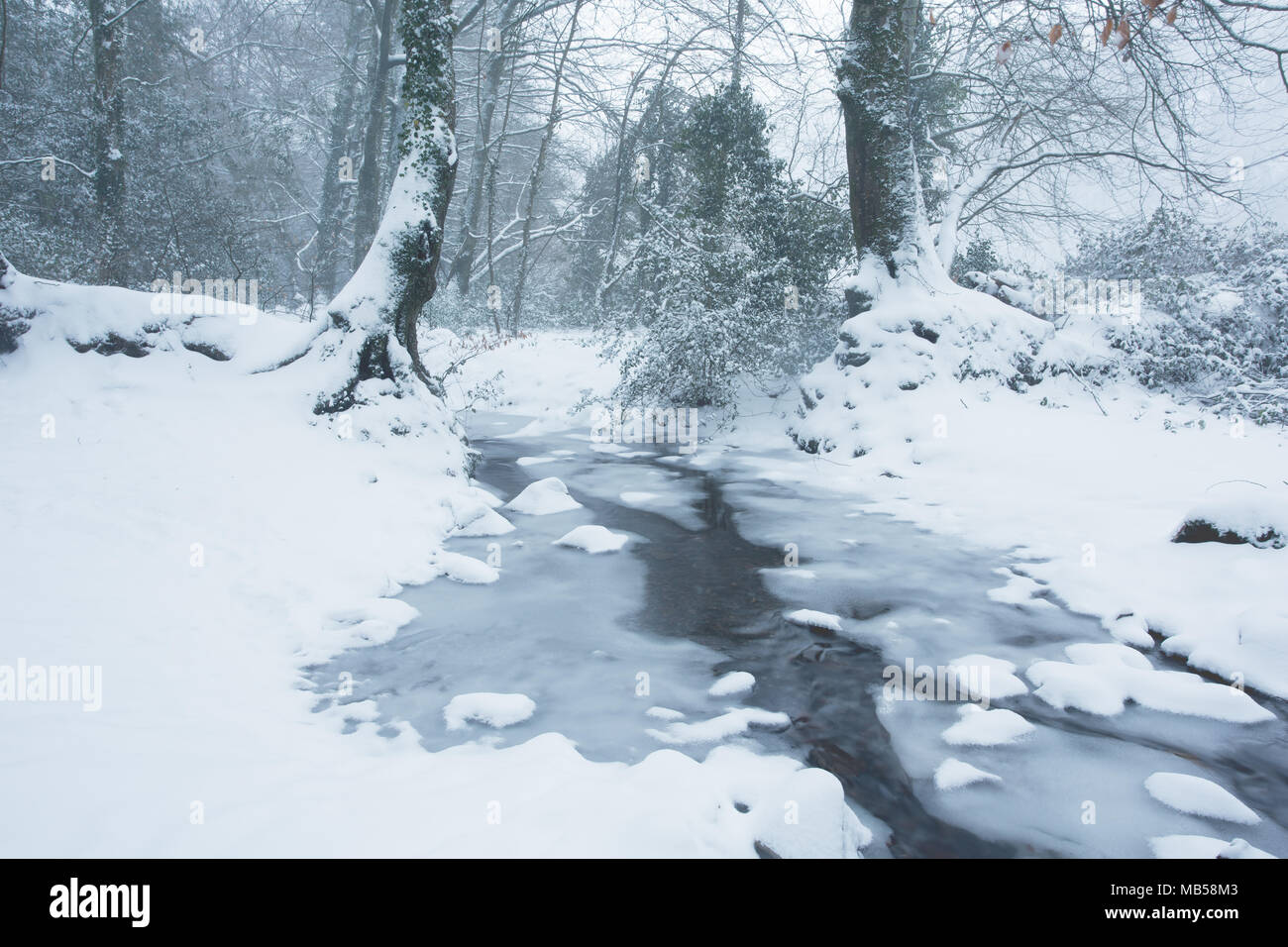 Piccolo leat congelati vicino a Okehampton devon uk Foto Stock