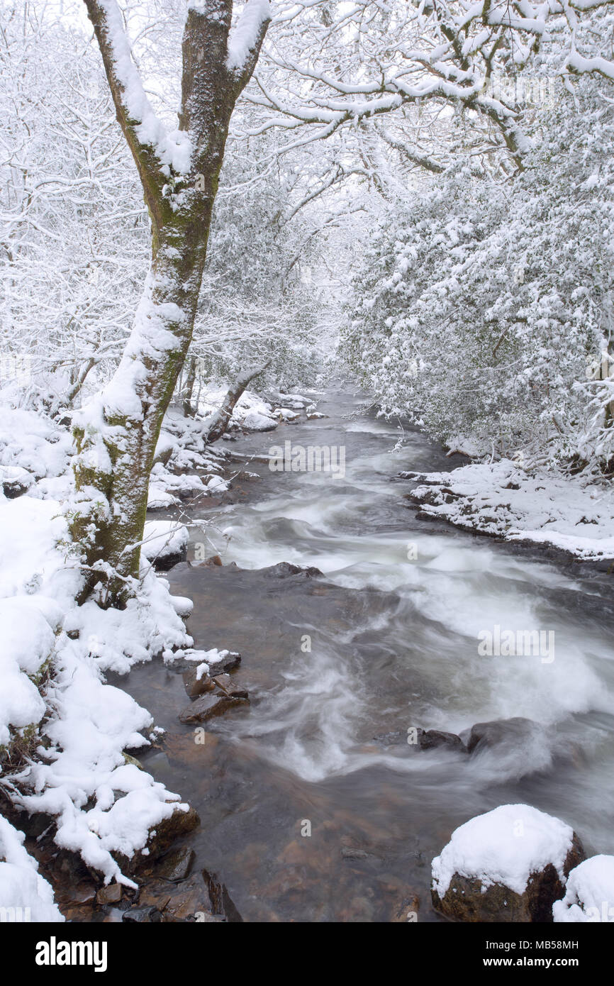 A est del fiume Okement in inverno vicino Okehampton Devon UK Foto Stock