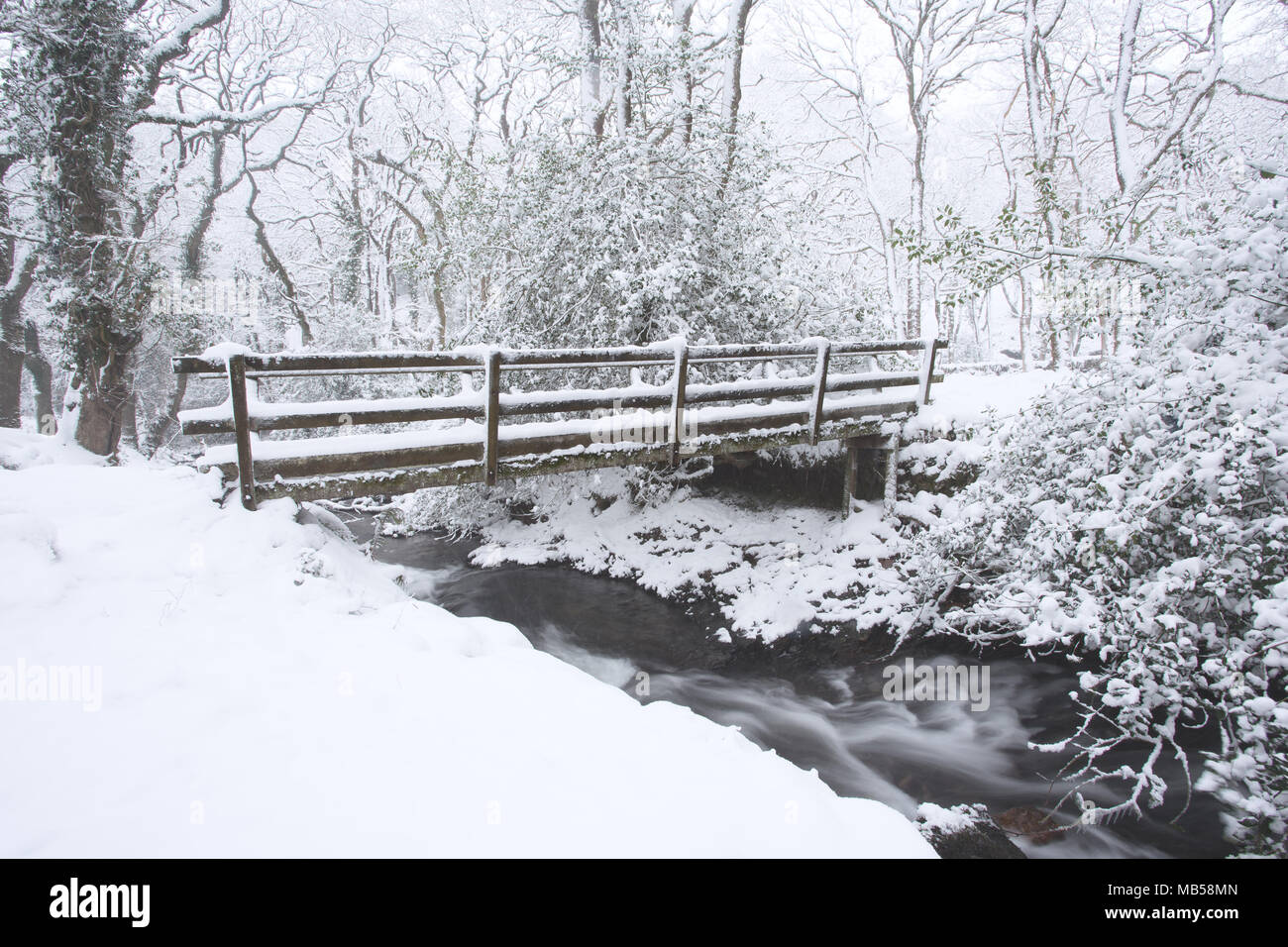 Moor brook in inverno vicino Okehampton Devon UK Foto Stock