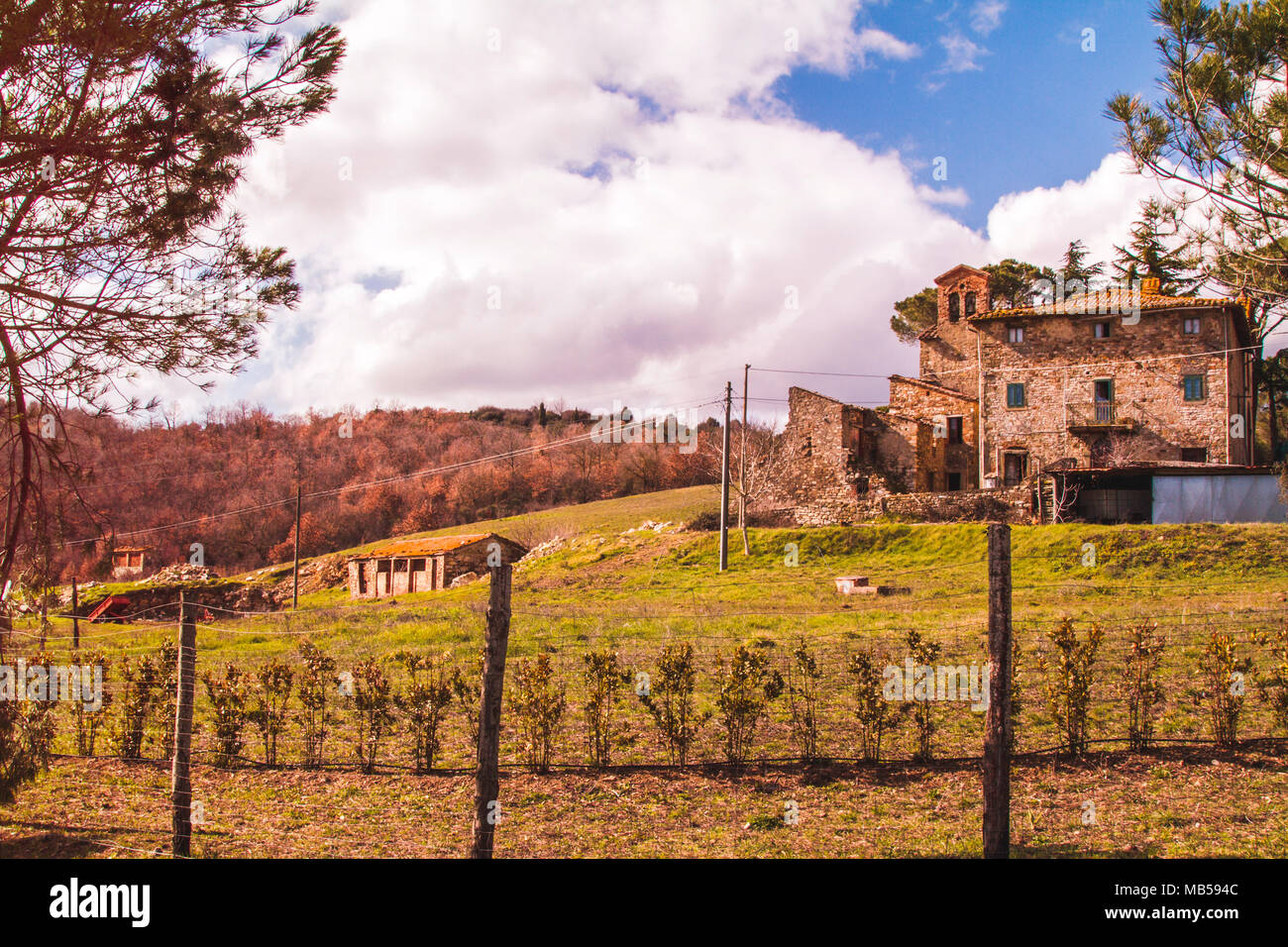 Villa tradizionale toscana Foto Stock