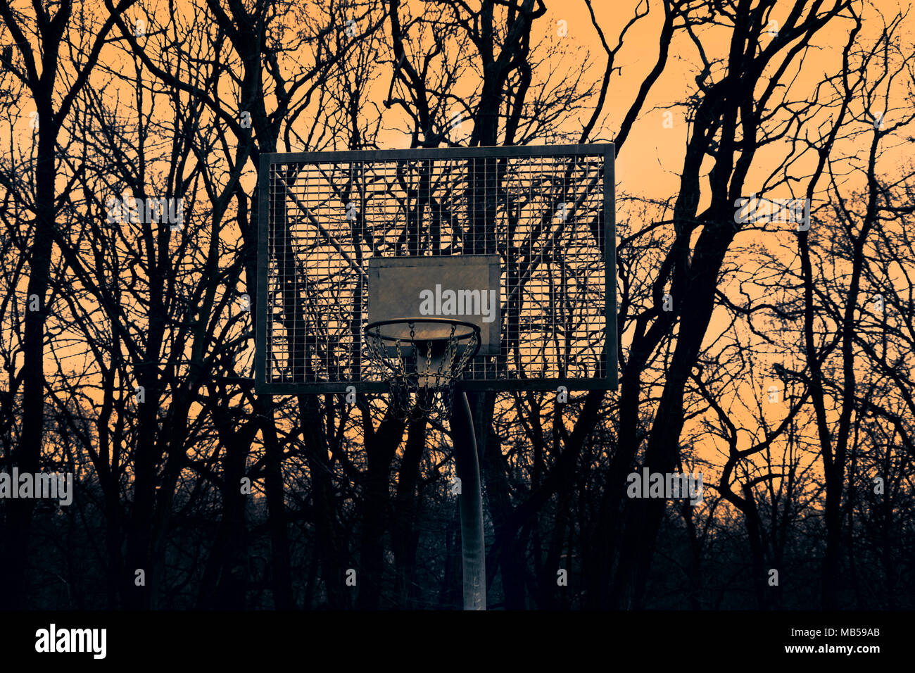 Cestello per il basket sullo sfondo del tramonto e alberi Foto Stock