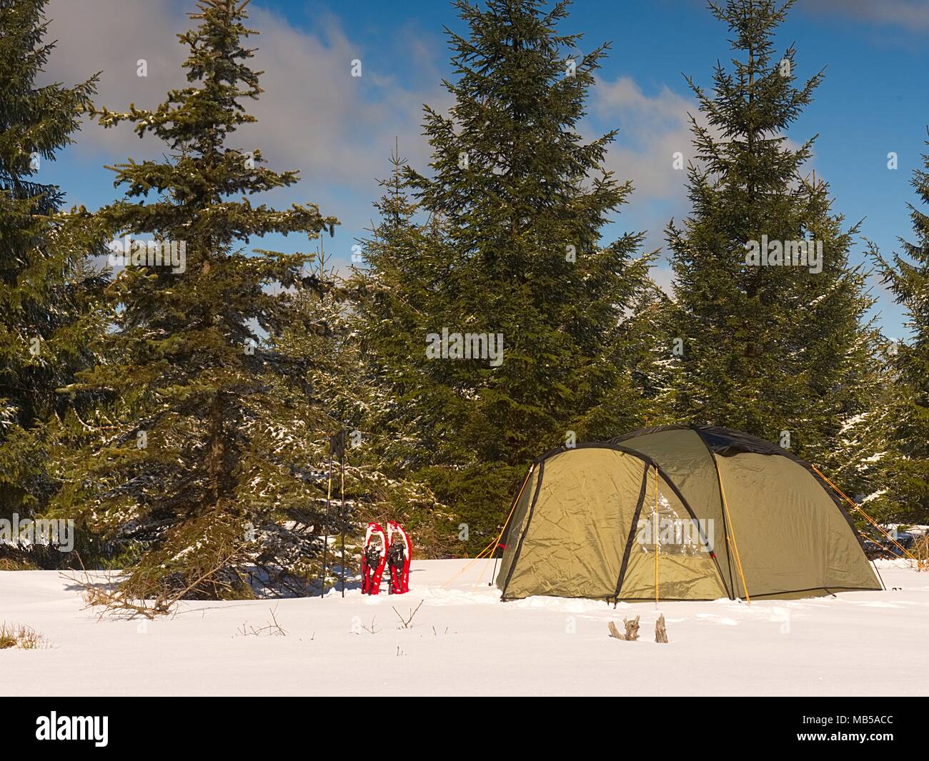 Campeggio invernale sulla neve nella foresta. Tenda verde nascosto tra gli  alberi. Blue sky Foto stock - Alamy