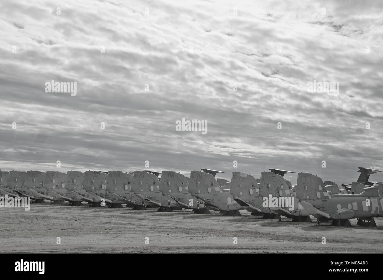 Ritirato elicotteri sono memorizzati in corrispondenza del cimitero AMARG facility in Tucson, Arizona. Foto Stock