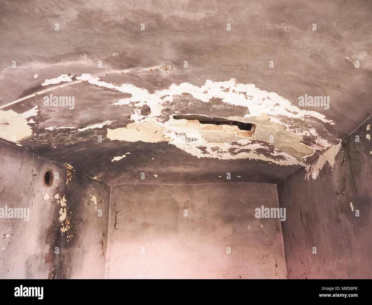 Danni causati da umidità umidità e infiltrazioni di acqua sulla parete e soffitto Foto Stock