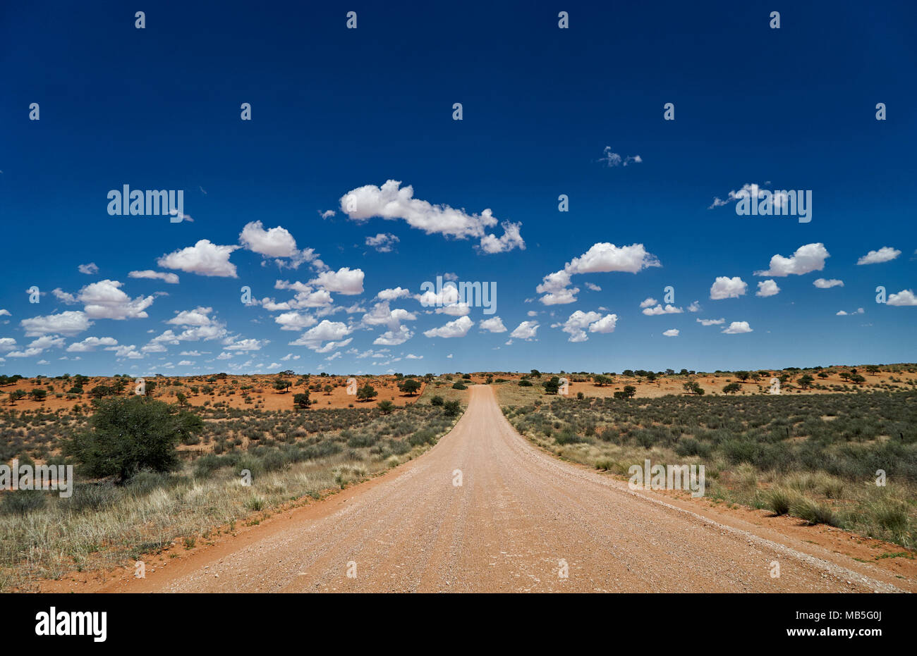 Dritto strada di ghiaia attraverso dune del Kalahari, Namibia, Africa Foto Stock