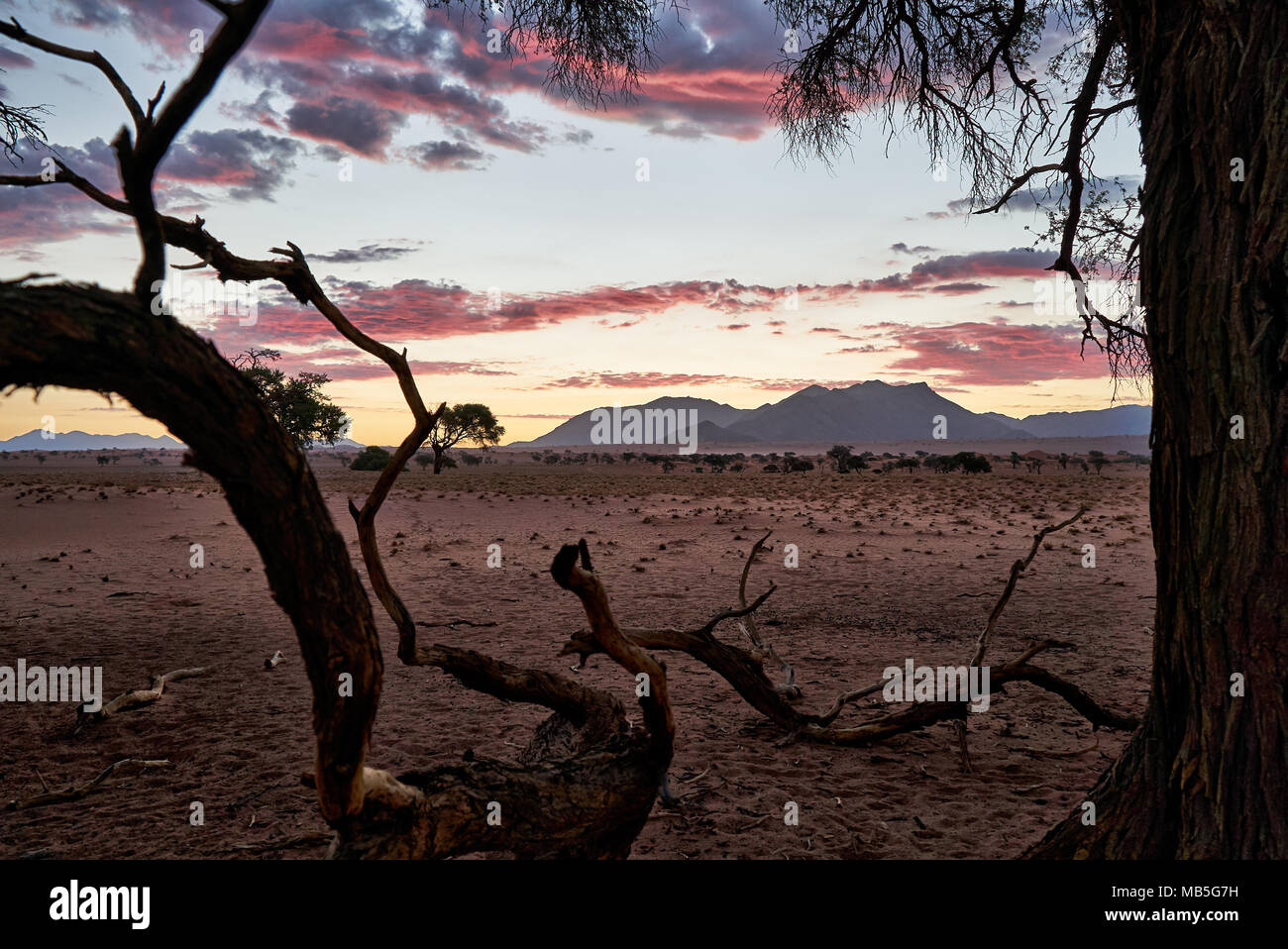 Tramonto sul paesaggio deserta di NamibRand Riserva Naturale, Namibia, Africa Foto Stock
