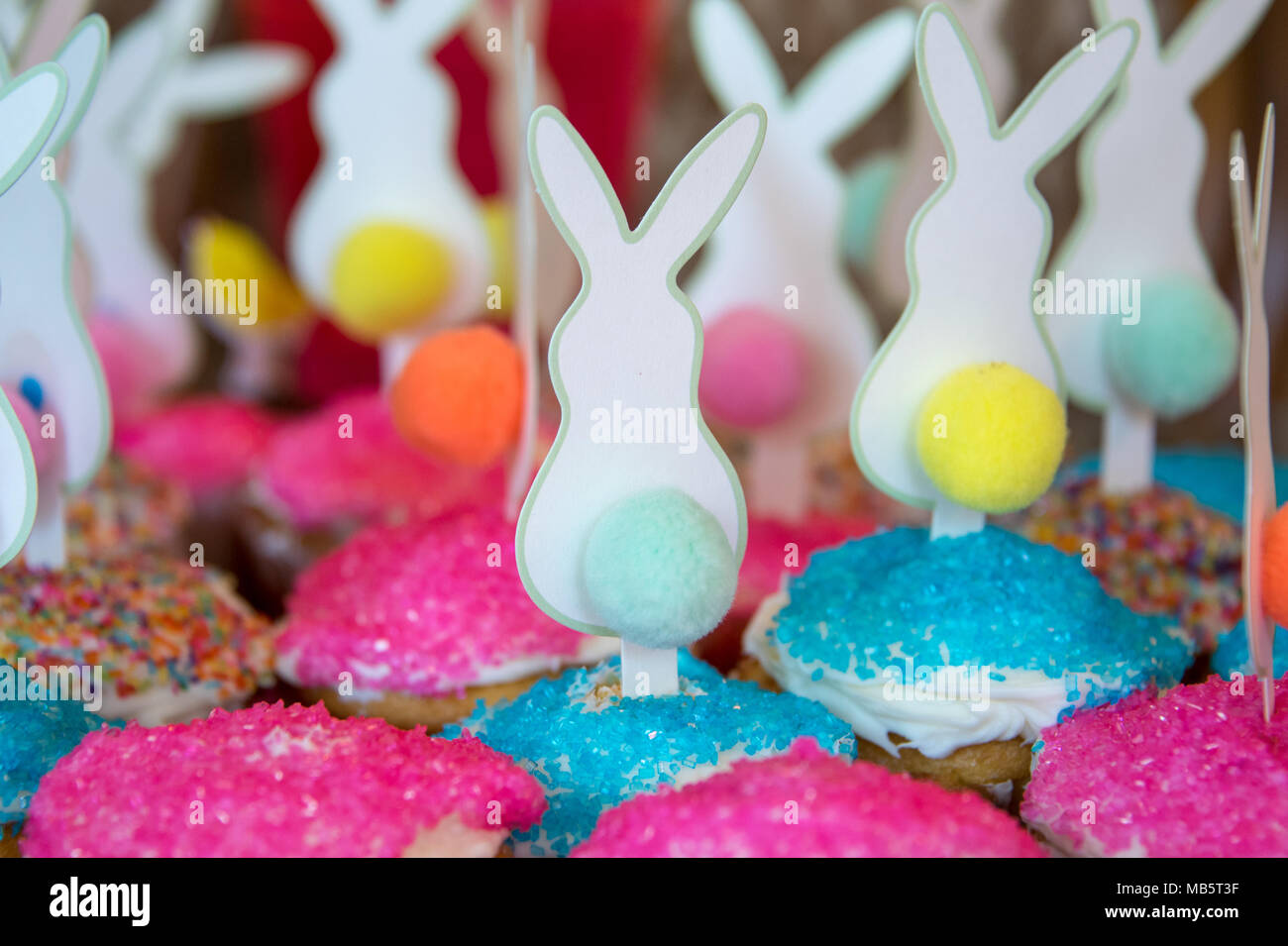 Iced colorate blu e rosa tortine decorate con conigli pasquali per celebrare le feste in una vista ravvicinata in una pasticceria Foto Stock