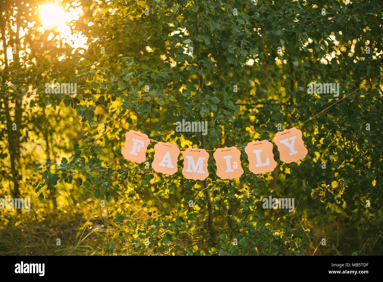 Famiglia di parola scritta su pensile carta arancione banner appesi sugli alberi al di fuori al tramonto o l'alba di tempo. Orizzontale fotografia a colori. Foto Stock
