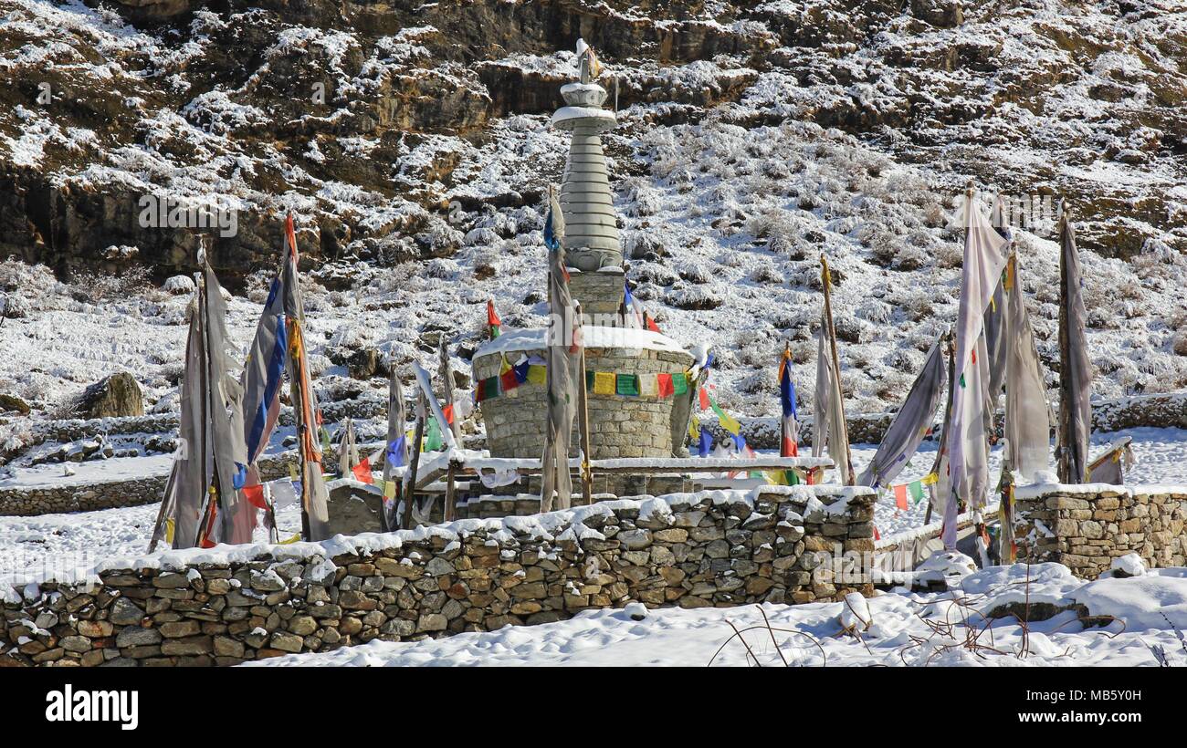 Stupa e bandiere di preghiera. Memoriale per le persone che sono morte in Langtang a causa del devastante terremoto nel 2015. Foto Stock