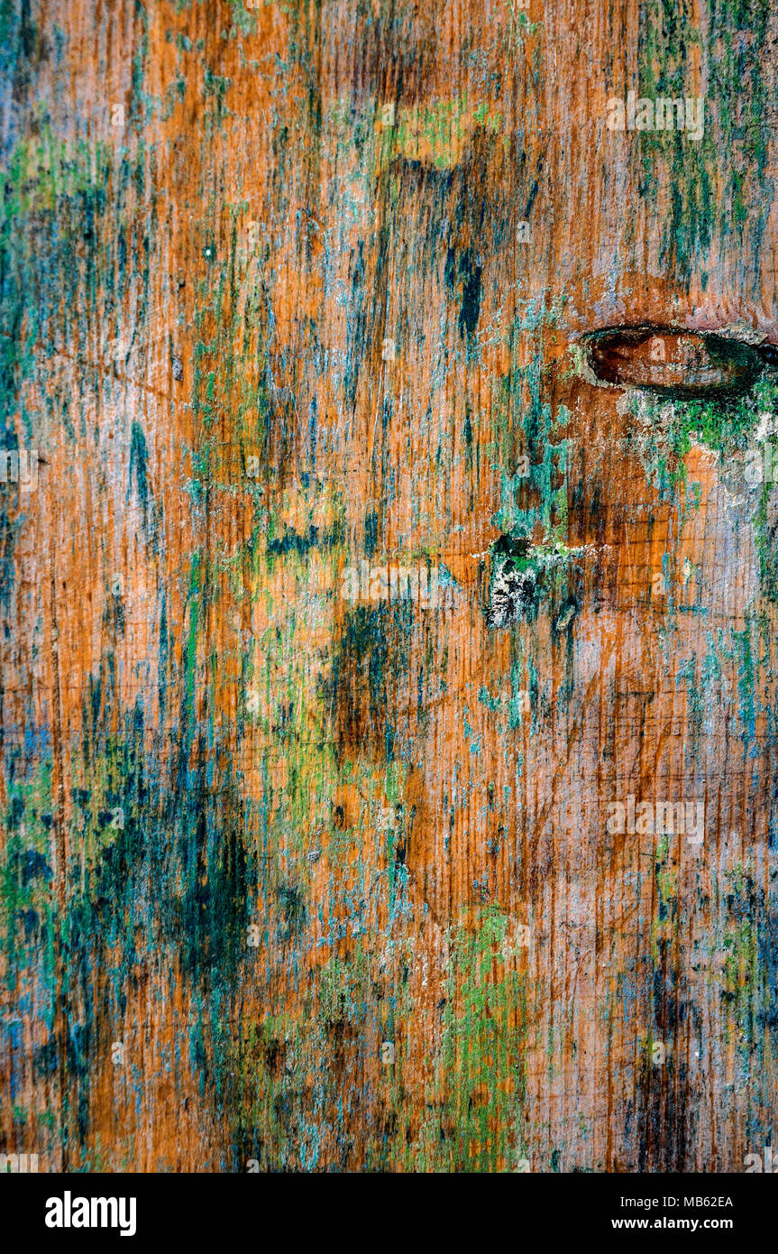 Bella multi-colore sfondo testurizzata legno dipinto. Il telaio verticale. Foto Stock