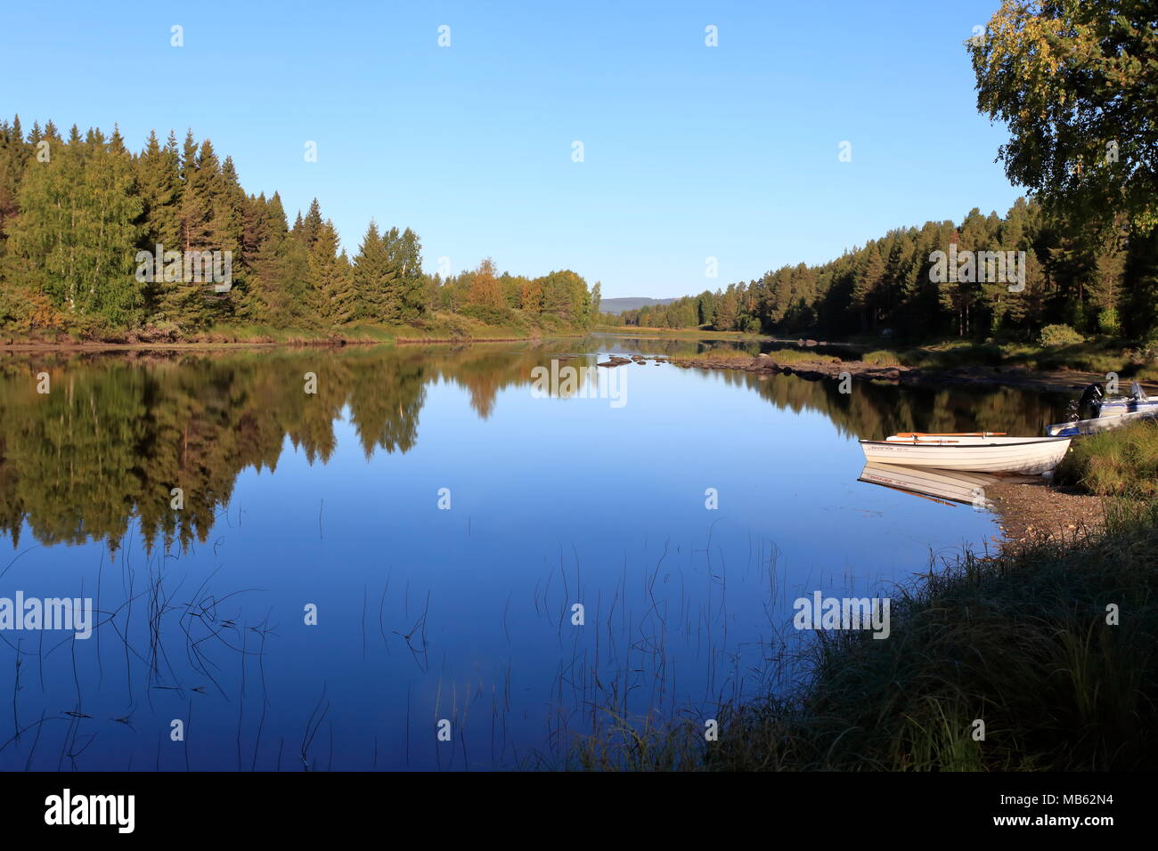 Fiume Vindelaelven, Svezia Foto Stock