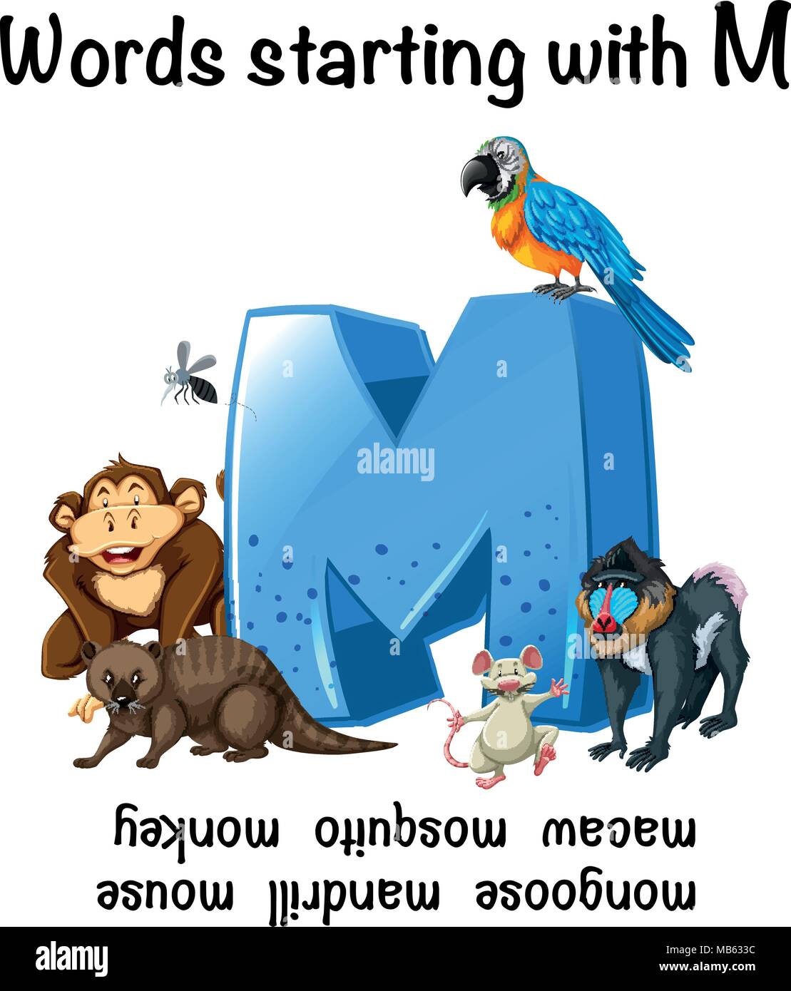 Le parole in inglese a partire da M illustrazione Illustrazione Vettoriale