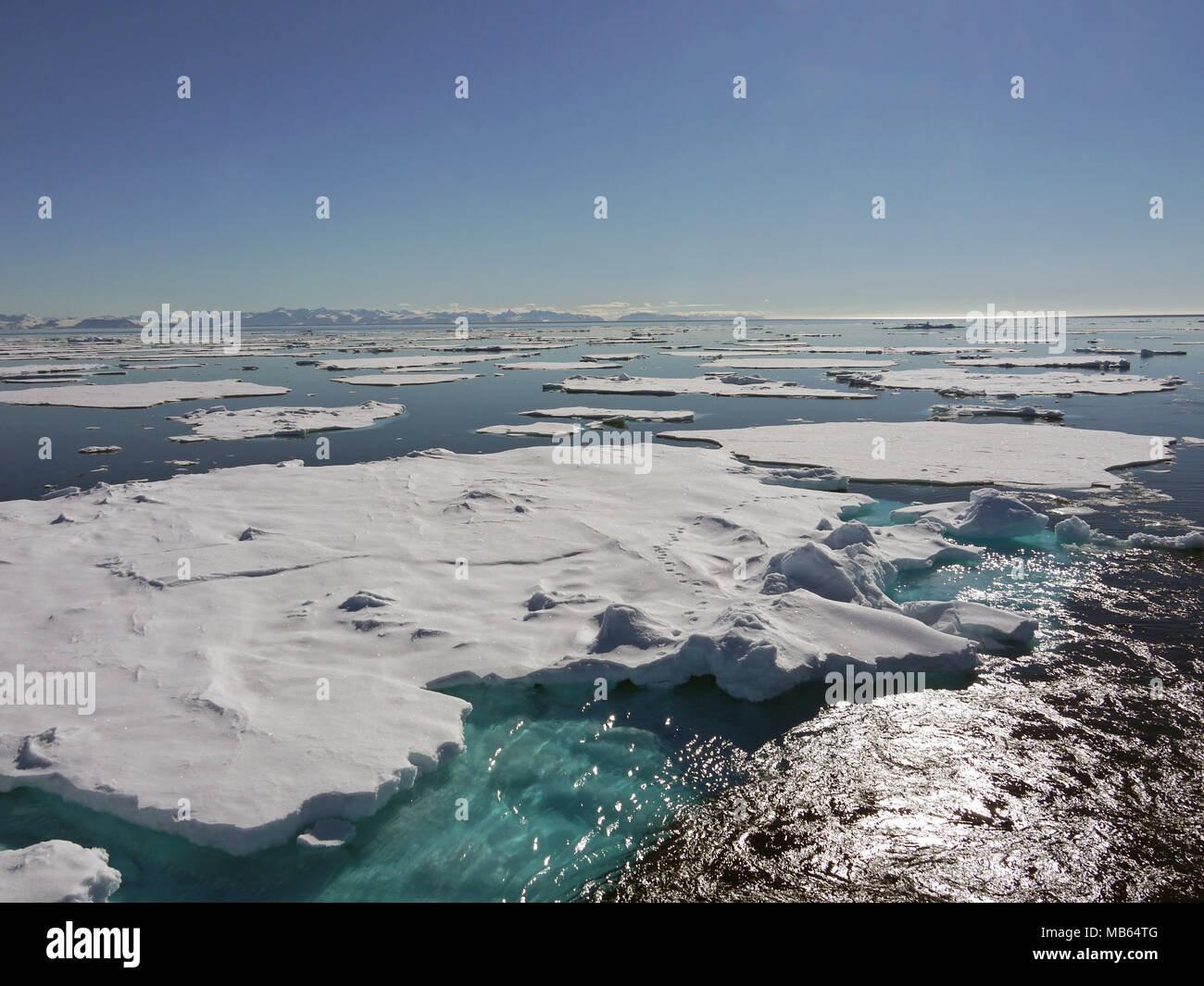 Grande distesa di ghiaccio pack al di sopra di 80 gradi nord e solo 600 miglia nautiche dal Polo Nord Foto Stock