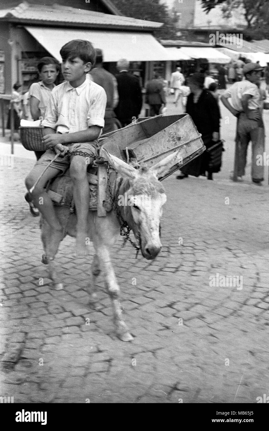 Giovane ragazzo andare al mercato su Donkey, Dubrovnik, Iugoslavia 1939 Foto Stock