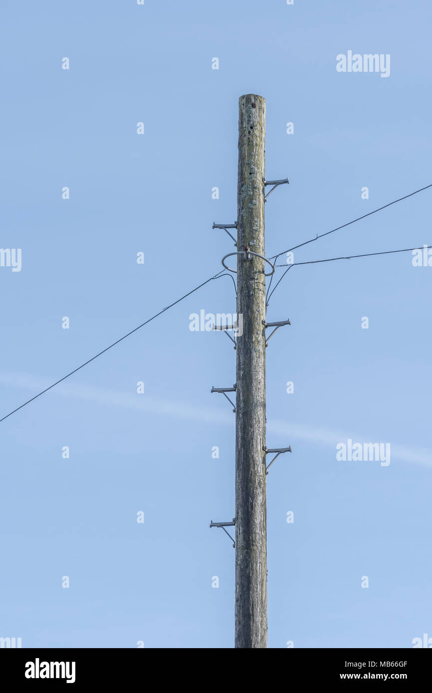 Il sovraccarico locale del telefono alla rete di distribuzione di case in Bodmin, Cornwall. Foto Stock