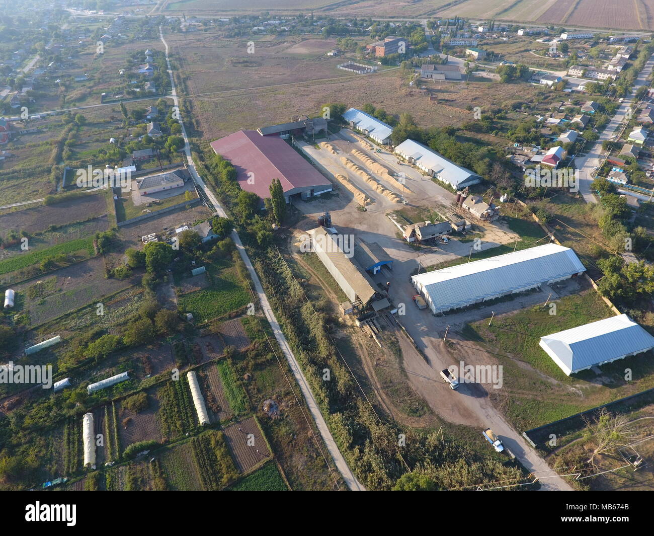 Hangar per stoccaggio di cereali. Una piattaforma di essiccamento e sinterizzazione di grani. La granella raccolta. Foto Stock