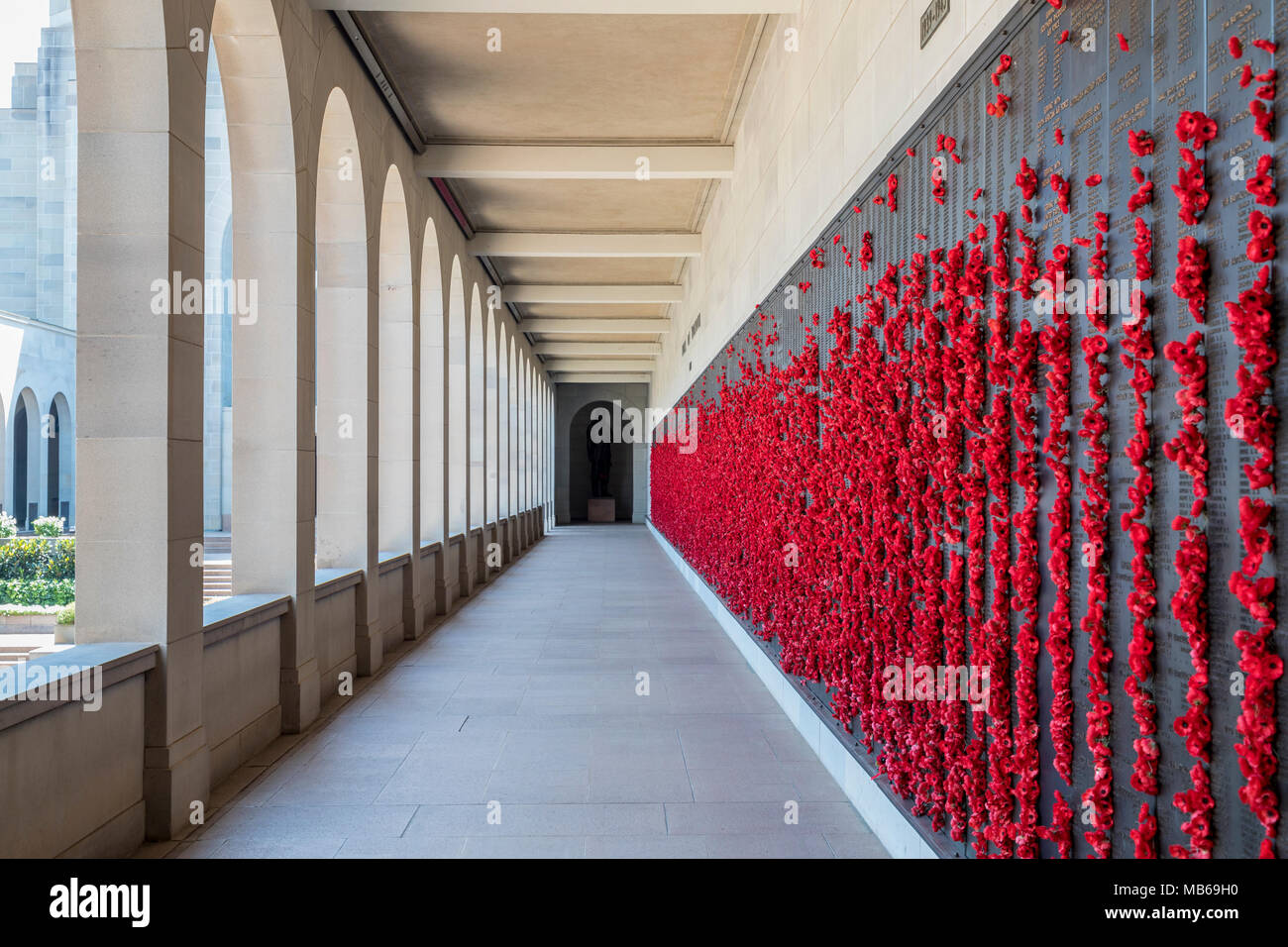 Papaveri rossi segnato accanto ai nomi dei soldati deceduti in Australian War Memorial, Canberra, Australia Foto Stock