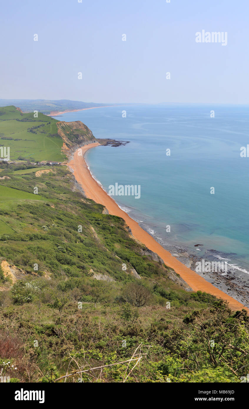 Guardando ad est dal Golden Cap su la costa del Dorset , il punto più alto lungo la costa del sud dell'inghilterra Foto Stock