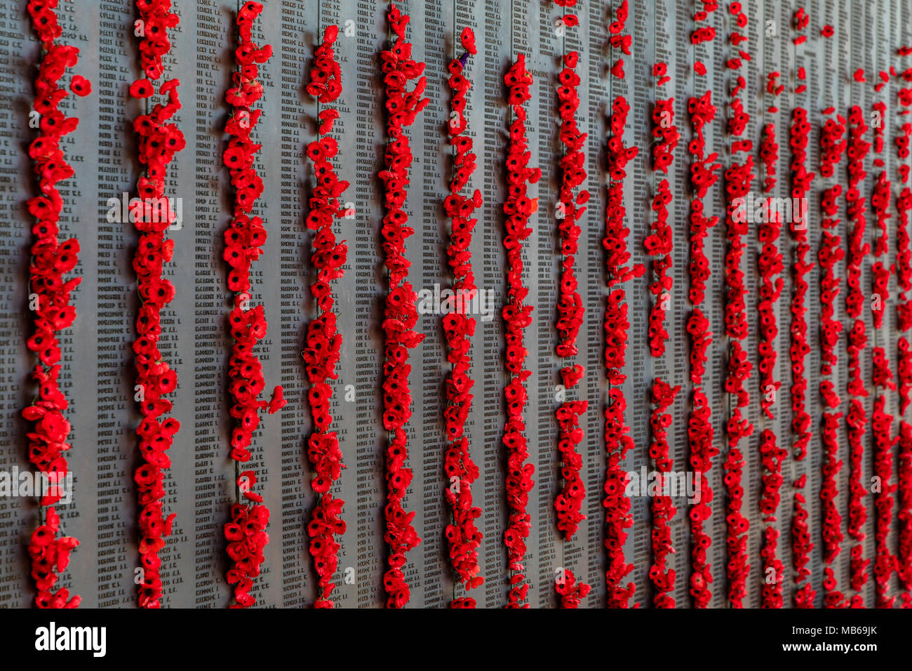 Papaveri rossi segnato accanto ai nomi dei soldati deceduti in Australian War Memorial, Canberra, Australia Foto Stock
