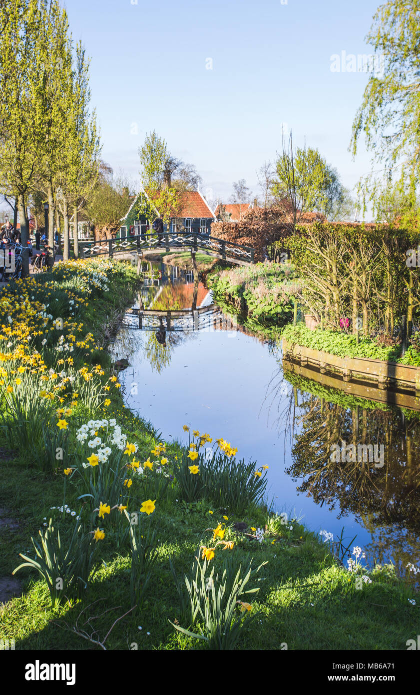Conserve di case storiche a Zaanse Schans sulle rive del fiume Zaan, nei pressi di Amsterdam Zaandam, North Holland, Paesi Bassi Foto Stock