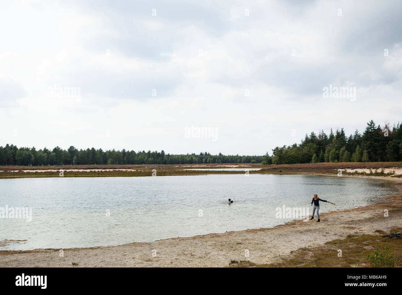 Donna che lancia il bastone al cane giocoso in attesa nell'acqua di un lago, Paesi Bassi Foto Stock