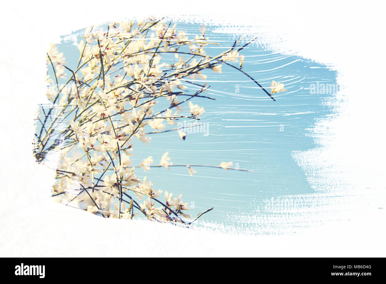 Reamy e immagine astratta di fiori bianchi. doppia esposizione con effetto acquerello pennello texture Foto Stock