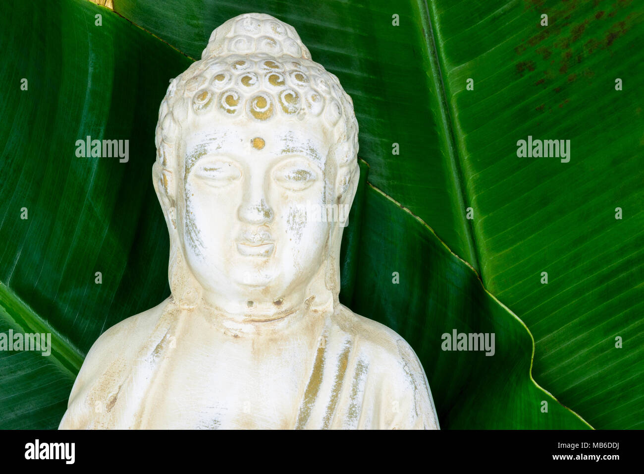 Ritratto della statua del Buddha con il fresco verde foglie di banano in superficie di sfondo con spazio libero Foto Stock