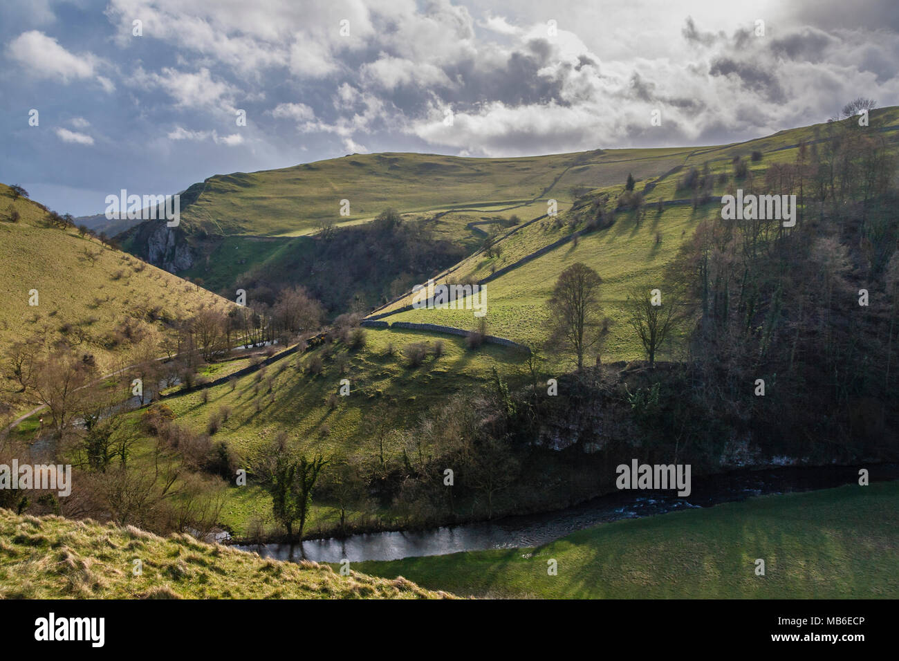 Dovedale, vicino Milldale, Parco Nazionale di Peak District, Derbyshire / confine Staffordshire, Inghilterra Foto Stock