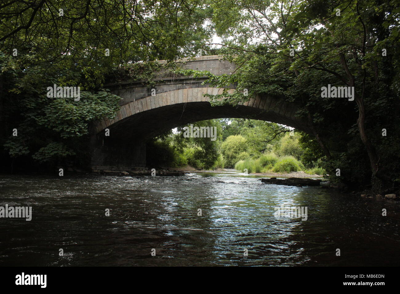 Teignbridge. Il fiume Teign. Devon. Regno Unito. Foto Stock