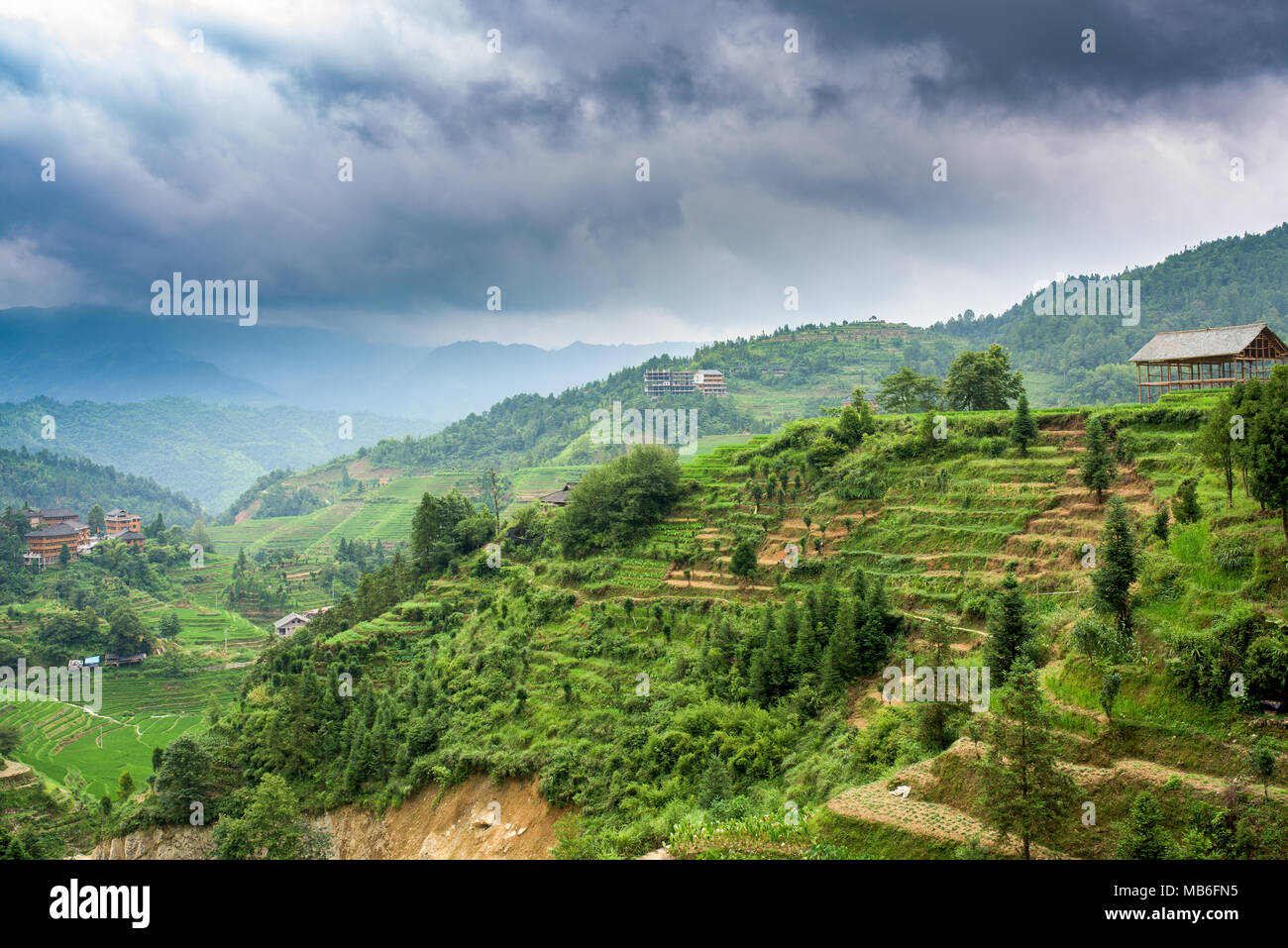 Longsheng terrazze di riso in Cina Foto Stock