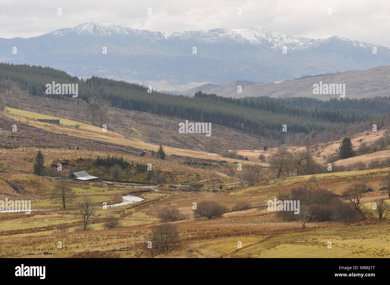 Guardando verso sud da OS 734316 griglia est di Bronaber oltre il guadagno Afon verso Cadair Idris, Snowdonia, Gwynedd, Galles Foto Stock