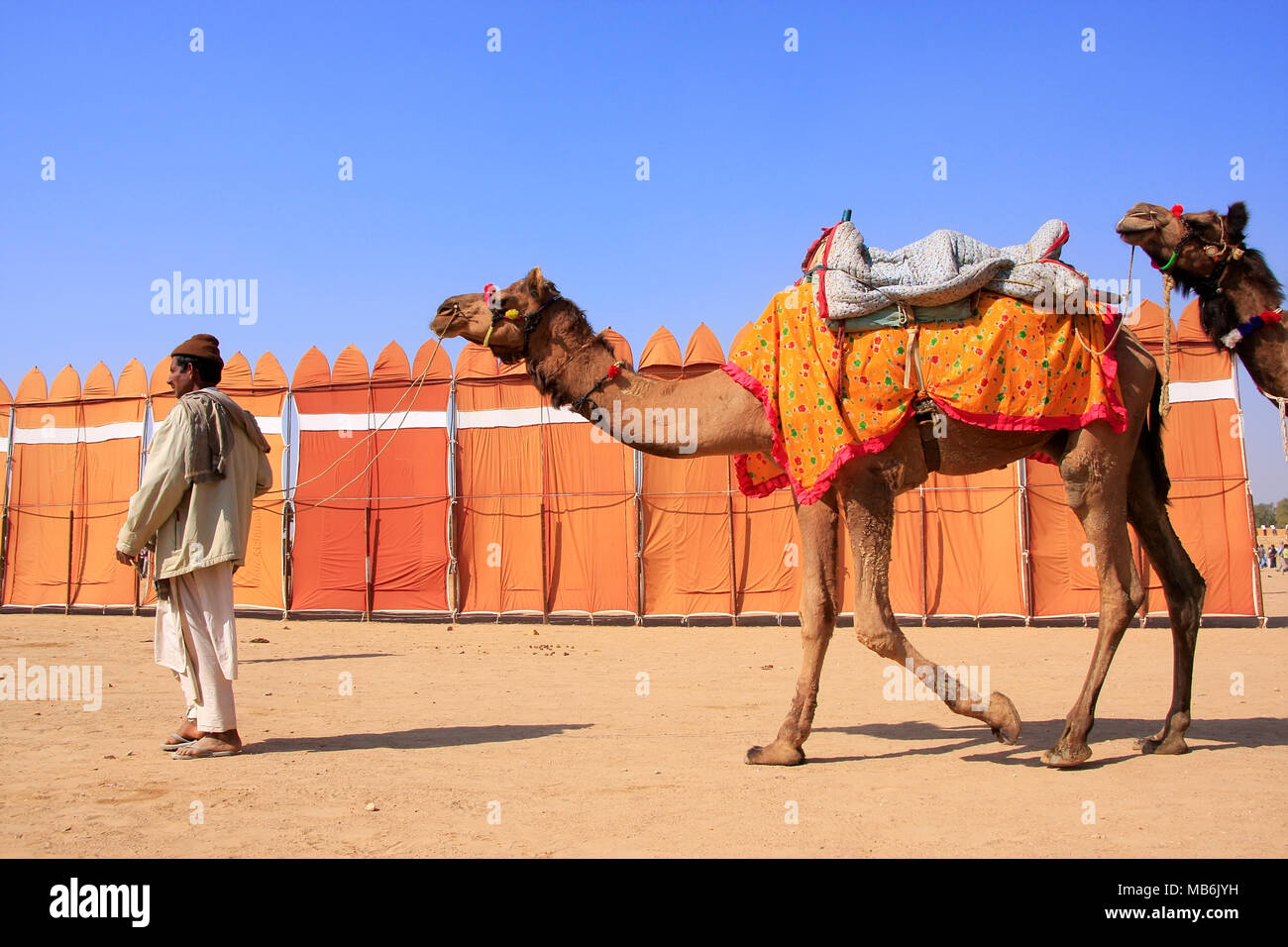 Indian uomo a camminare con i cammelli in Jaisalmer, Rajasthan, India Foto Stock