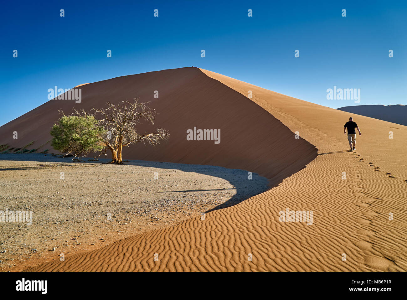 Man ist a piedi fino dune 45, il paesaggio del deserto del Namib Foto Stock