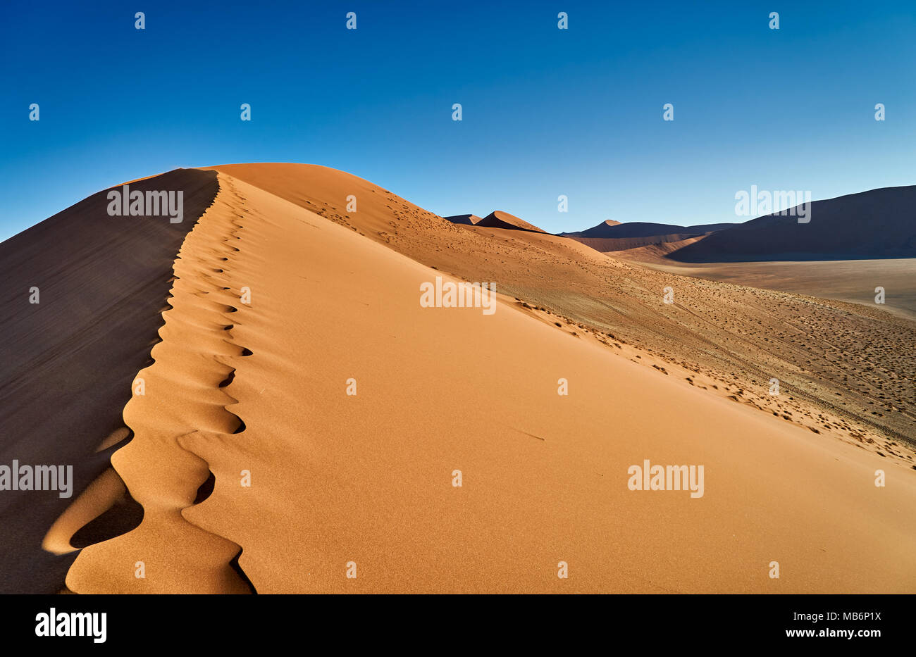 Dune 45, il paesaggio del deserto del Namib Foto Stock