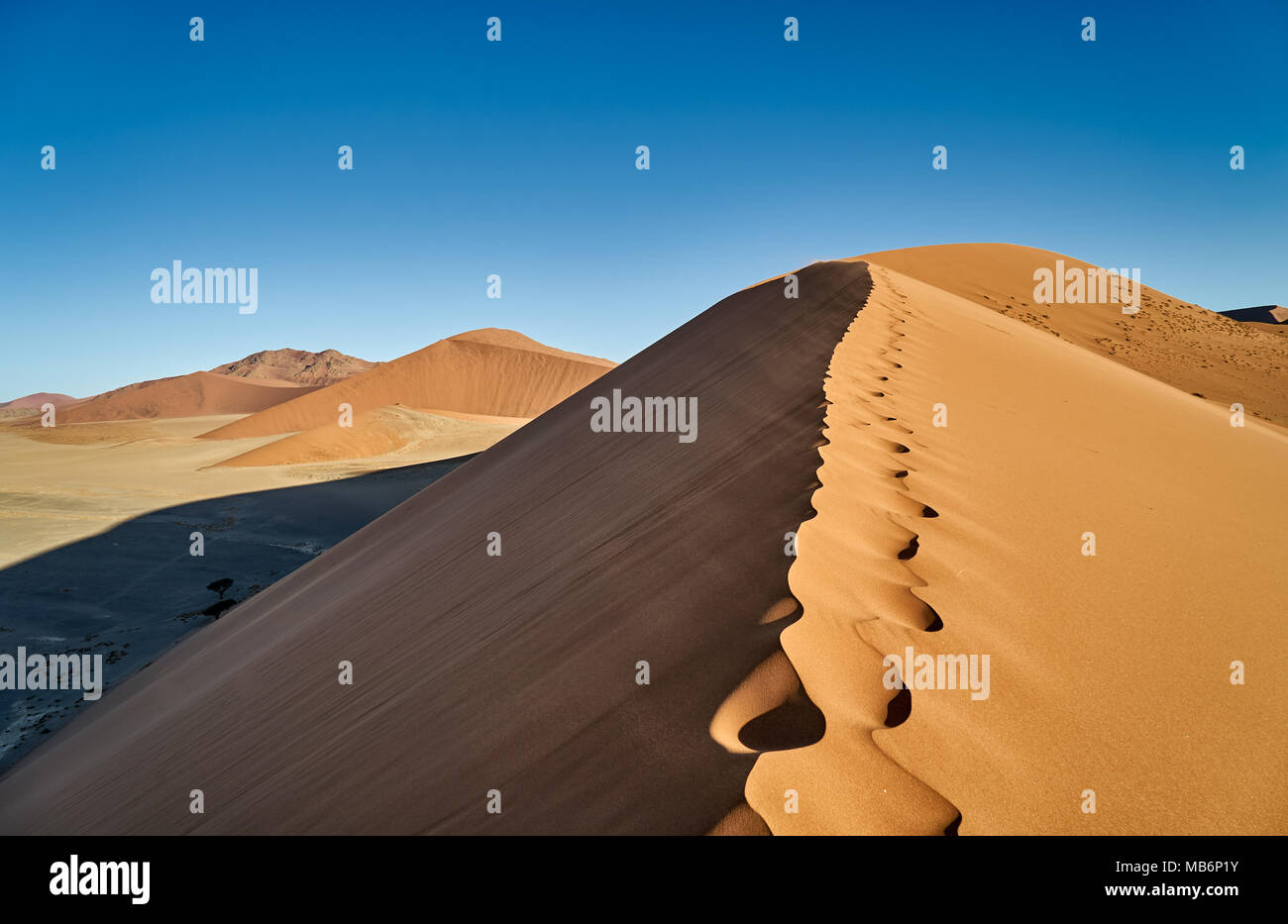 Dune 45, il paesaggio del deserto del Namib Foto Stock