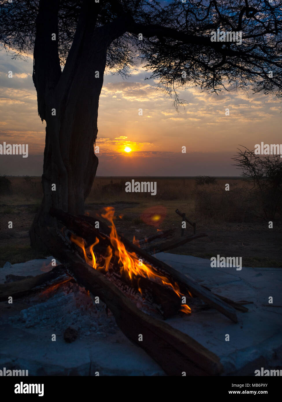 Il Parco Nazionale Chobe tra Botswana e Namibia al tramonto in Africa Foto Stock