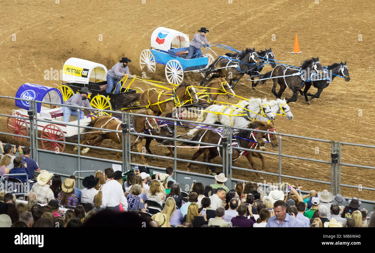 Stagecoach racing a Houston Livestock Show e Rodeo, Houston, Texas, Stati Uniti d'America Foto Stock