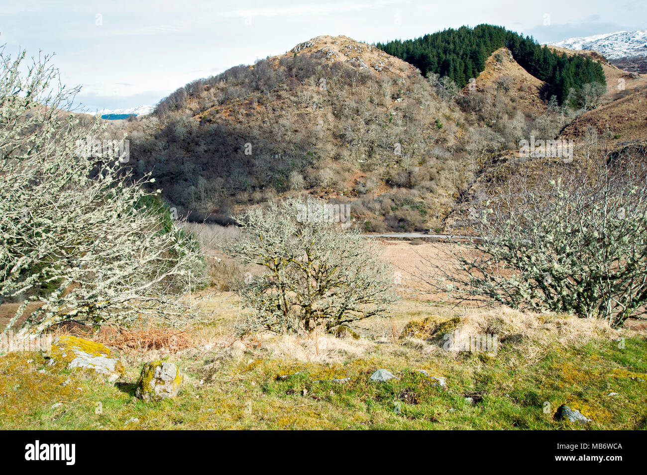 Vista da Carnasserie Castle vicino Kilmartin, Argyle e Bute, Scozia Foto Stock